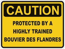 Bovaro Delle Fiandre Caution