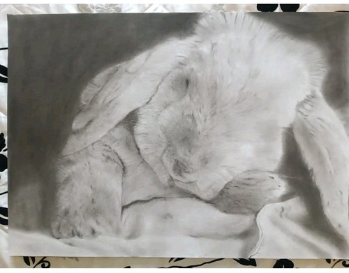 Disegno matita carboncino - disegno, e