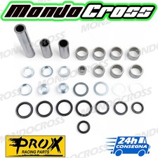 kit revisione leverismi mono