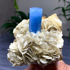 335G Raro!Esemplare di cristallo grezzo acquamarina a forma di prisma naturale bellissimo grezzo