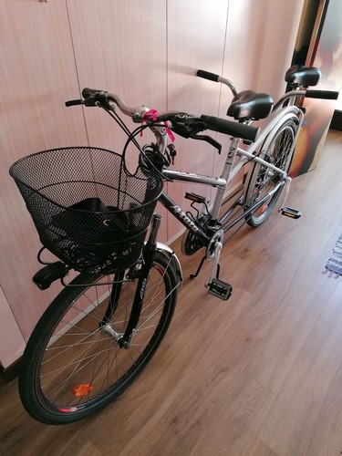 Bicicletta tandem atala grigio