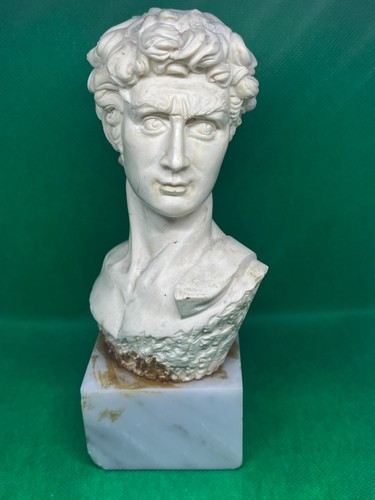 Busto scultura david - scultura,
