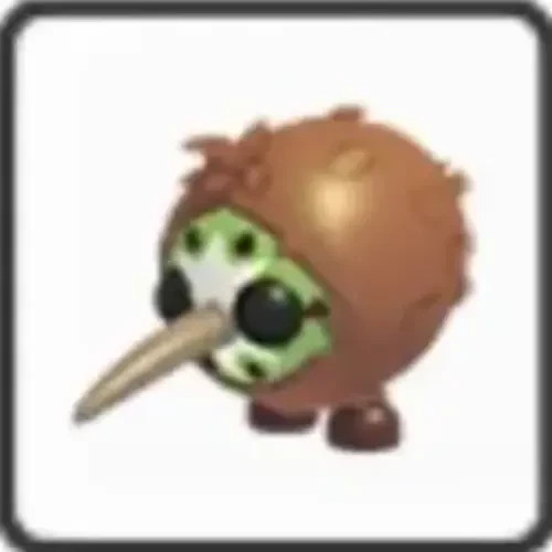 Kiwi adopt - adopt, me