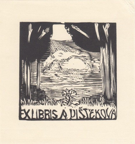 Exlibris libro piatto - exlibris,