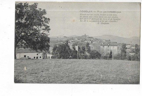 Cogolin vue panoramique - vue,