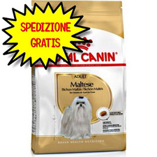 ROYAL CANIN CANE MALTESE ADULT 1,5 KG