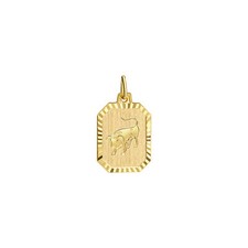Ciondolo segno zodiacale toro - ciondolo,