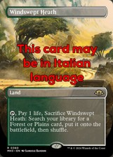 MTG WINDSWEPT HEATH 360 EXC -