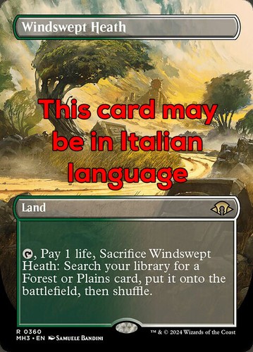 Mtg windswept heath 360 exc - mtg,
