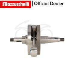 AMT162VT ALBERO MOTORE