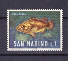 Francobolli San Marino 1966 Fauna Marina Pesci 1 L. MNH Cernia Bruna SAS721