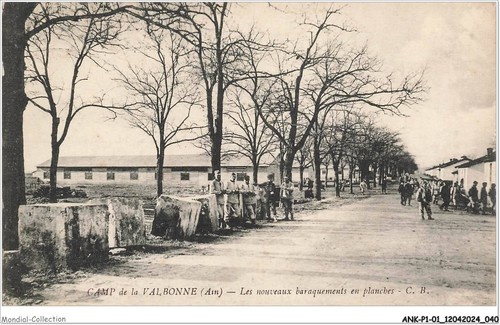 Ankp1 0021 campo di - ankp1-0021-01,