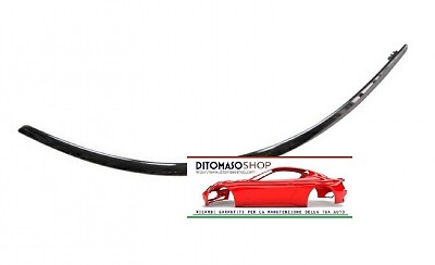 Modanatura cromata paraurti - dx,