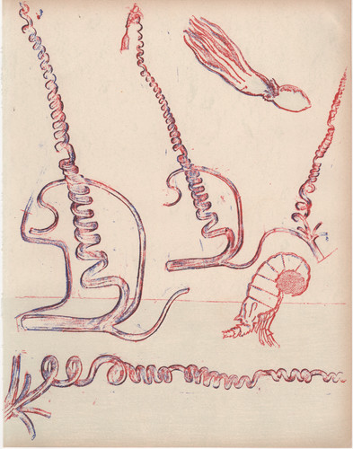 Max ernst composizione - ernst,