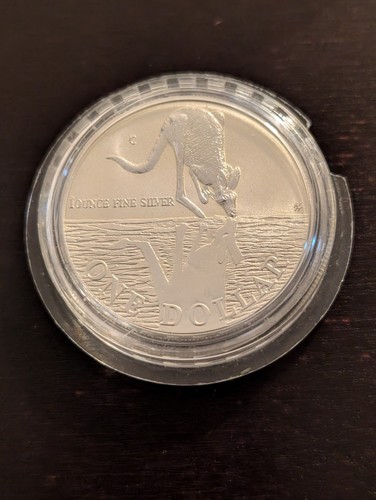 Argento canguro 1997 ram - argento,