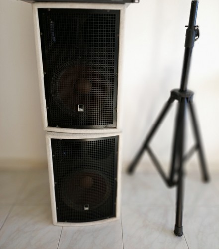 Casse acustiche passive 300