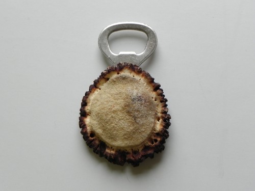 Apribottiglie con antler cervi - apribottiglie,