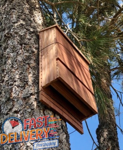 New outdoor bat house all - new,