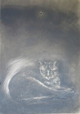 Santo TOMAINO, Tecnica mista