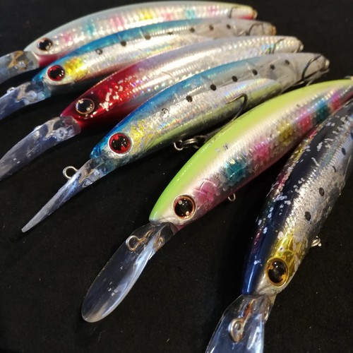 Daiwa shoreline shiner set - daiwa,