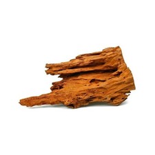 Legno Mangrovia Foto