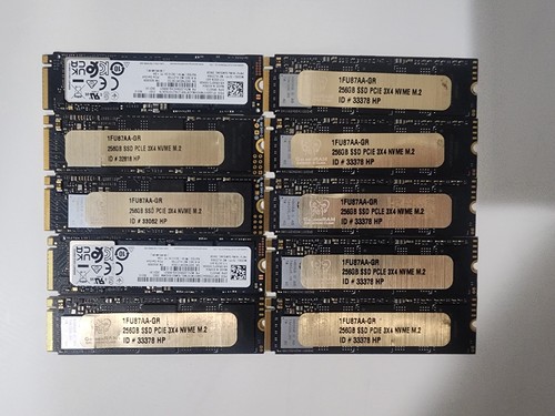 Lotto ssd nvme 256gb varie - lotto,