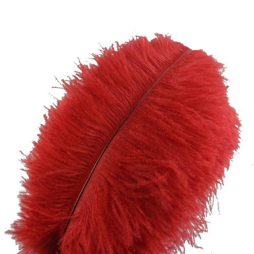 Piume struzzo sowder - di,
