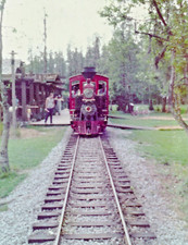 HO, SILVINE MODELS INC – The