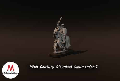 Comandante montato xiv - xiv, secolo