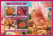 Blocco Used Coral Reef Pesci