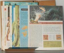 ENCICLOPEDIA CONOSCERE