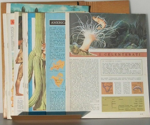 Enciclopedia conoscere - enciclopedia,