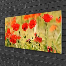 Quadri vetro 100x50 quadro - 100x50,
