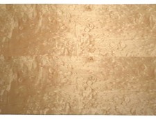Shell Acero Impiallacciatura Trapuntato Maple 192x15cm 1 Foglia Veneer