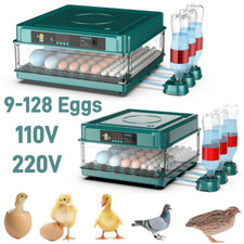 Incubatrice automatica per