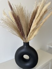 Erba di pampa essiccata