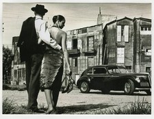 20x15cm fashion photo Tango