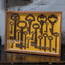 Collezione incorniciata di