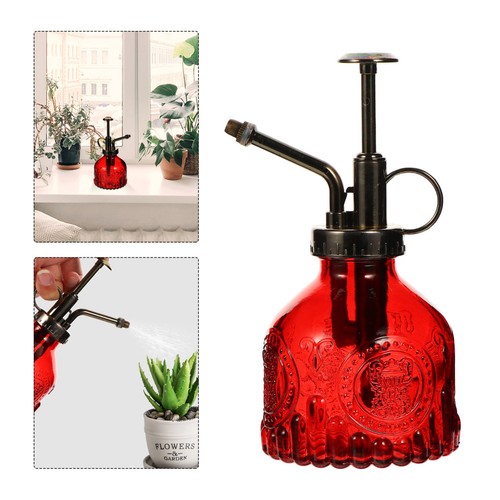 Spray pulizia bottiglia - ,