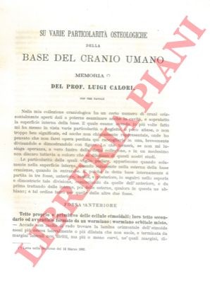 Calori luigi su - -,