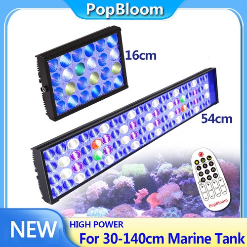 Popbloom acquario pesci - acquario,