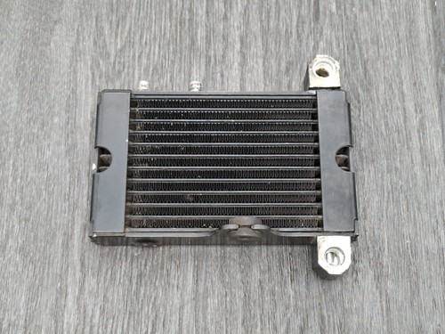 Radiatore buell - radiatore,