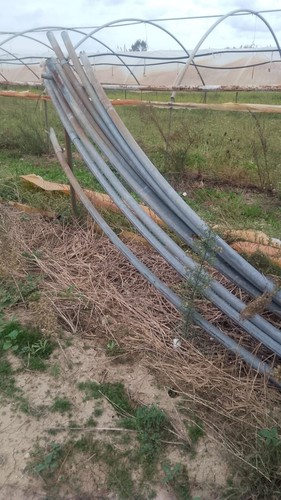 Serra giardino - serra,