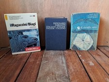 dizionari il Ragazzini