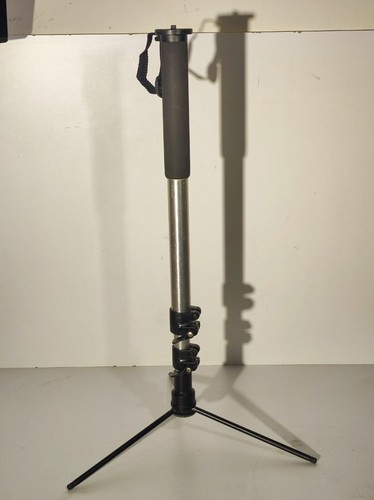 Monopiede professionale - monopiede,