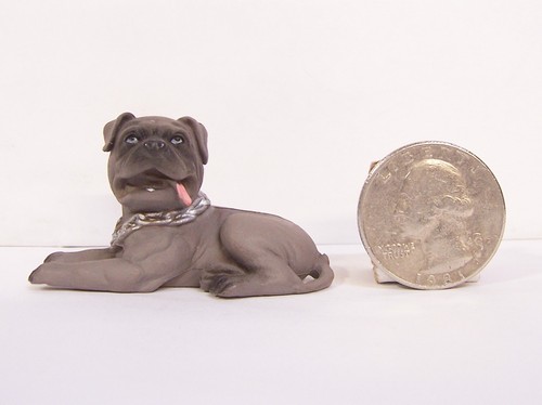 Nuovo brindle bullmastiff dog - nuovo,