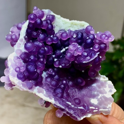 119g agata uva viola - 119g,