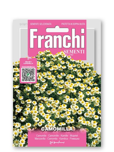 Semi camomilla - di,