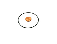 Trasmissione a cinghia per CEC