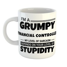 GRUMPY FINANCIAL CONTROLLER